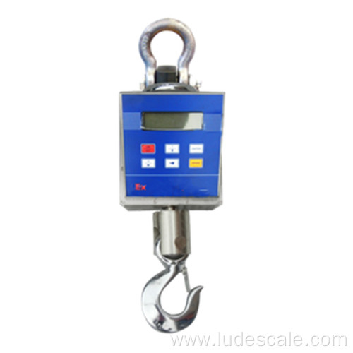 10T Explosion-proof Crane Hanging Scale